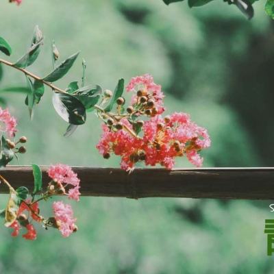 ng体育电子游戏手机app下载